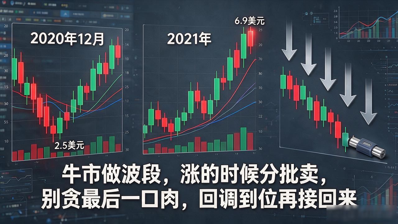 比特币长期持有策略_数字货币怎么发财的呢_牛市波段操作技巧